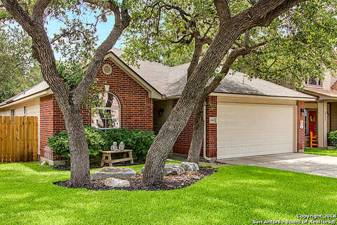 Tree, SAN ANTONIO, TX 78258