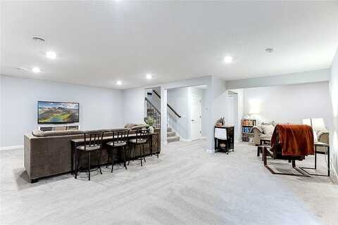 Lupine, HAMEL, MN 55340