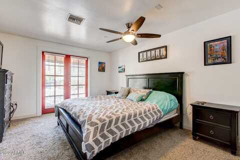 Lupine, PHOENIX, AZ 85020