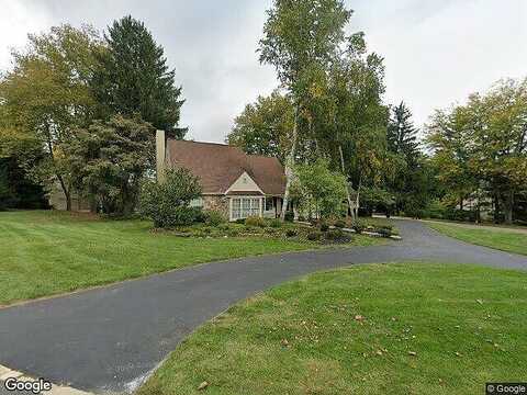 Ringneck, WAYNE, PA 19087