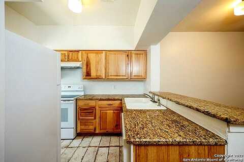 Apricot, SAN ANTONIO, TX 78247