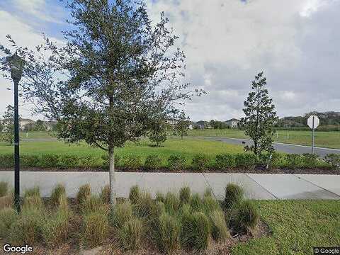 Little Violet, RIVERVIEW, FL 33578