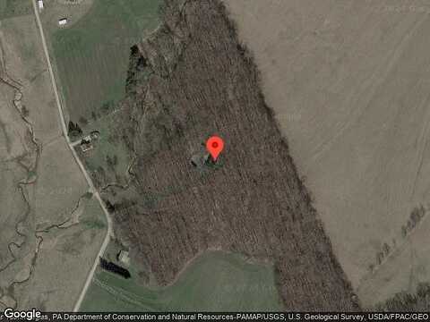 Willow, WELLSVILLE, PA 17365