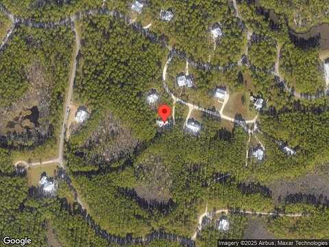 Golden Aster, PANAMA CITY BEACH, FL 32413
