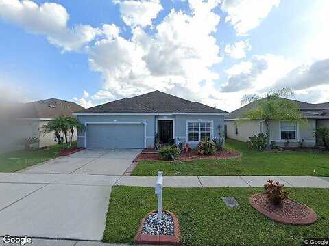 Wood Violet, GIBSONTON, FL 33534