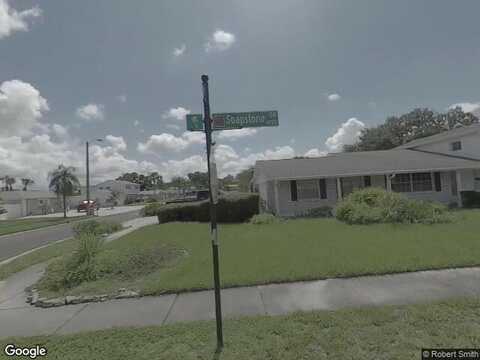 Soapstone, TAMPA, FL 33615