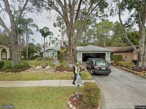 Tanglewood, PALM HARBOR, FL 34685