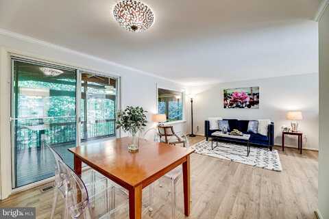 Holly Berry, FALLS CHURCH, VA 22042