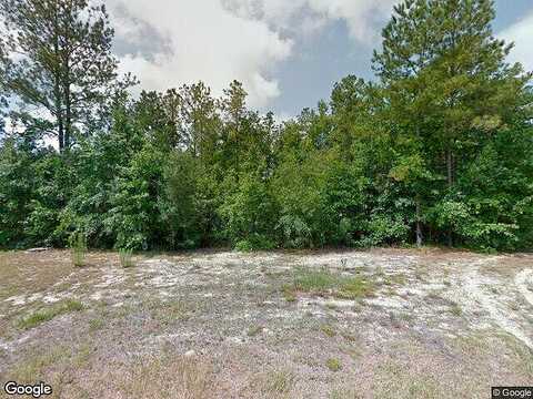 Effingham Plantation, GUYTON, GA 31312
