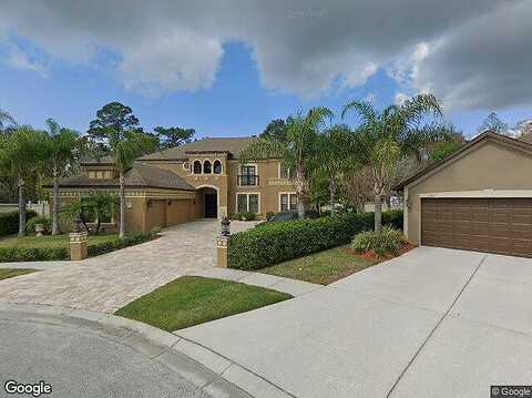 Ninebark, LAND O LAKES, FL 34638