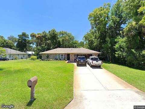 Hibiscus, EDGEWATER, FL 32141