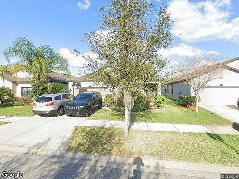 Palmetto Pine, RIVERVIEW, FL 33569
