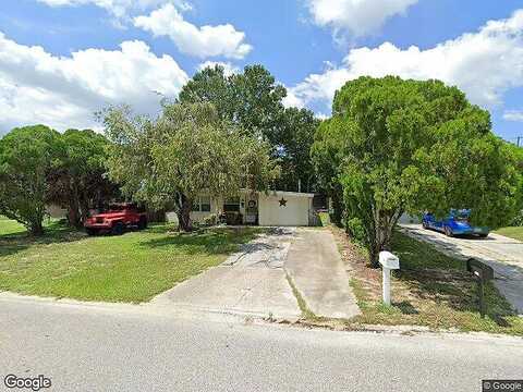 Raffia, PORT RICHEY, FL 34668