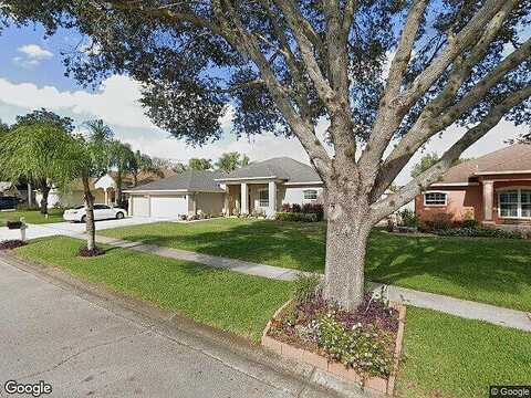 Duncan Tree, VALRICO, FL 33594