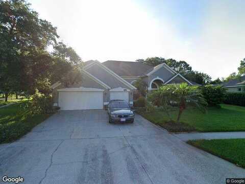 Brindlewood, ODESSA, FL 33556