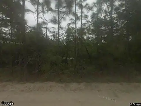 Linden, JESUP, GA 31545