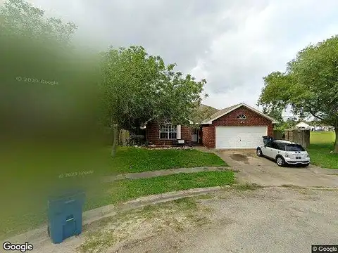 Hickory, BISHOP, TX 78343