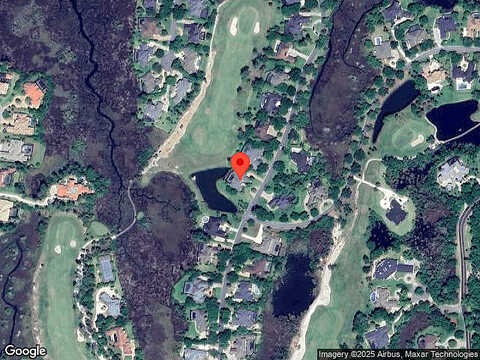 Royal Tern, PONTE VEDRA BEACH, FL 32082