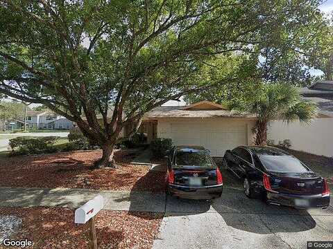 Daybreak, LUTZ, FL 33559
