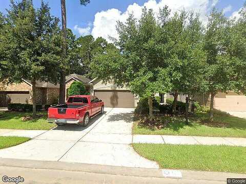 Elderberry, MONTGOMERY, TX 77316
