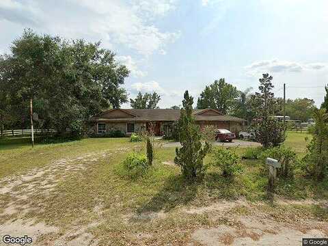 Brandy, LAND O LAKES, FL 34639