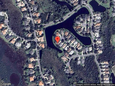 Wild Bird, SAINT AUGUSTINE, FL 32080