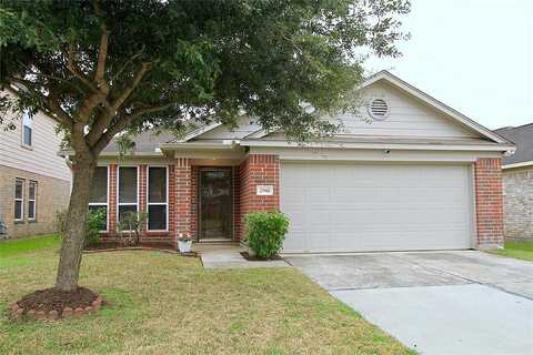 Fox Swift, HUMBLE, TX 77338