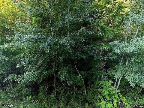 Shady, DETROIT LAKES, MN 56501