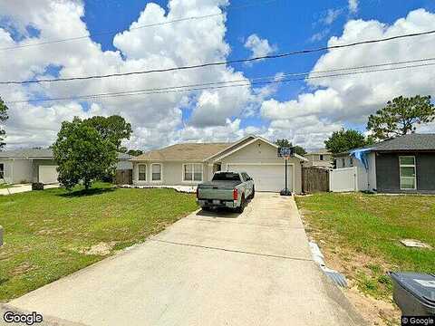 Flatfish, KISSIMMEE, FL 34759