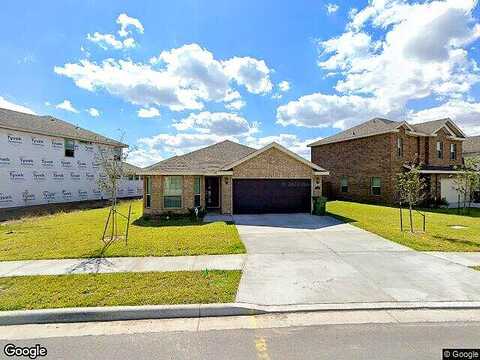 Ocelot, BROWNSVILLE, TX 78526