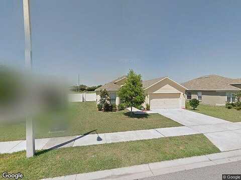 Trapnell Ridge, PLANT CITY, FL 33567