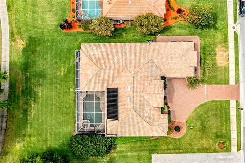 Thoroughbred, DADE CITY, FL 33525