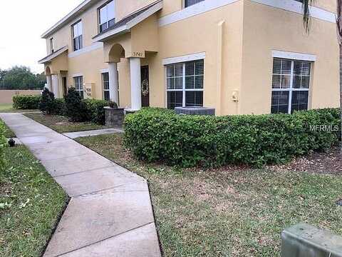Trumpet Vine, TRINITY, FL 34655