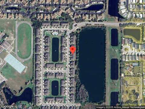 Fox Sparrow, TAMPA, FL 33626
