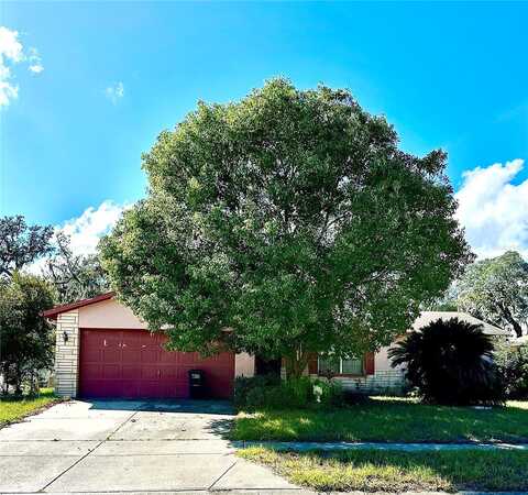 Crosier, NEW PORT RICHEY, FL 34653