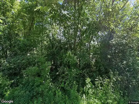 Basswood, BRAHAM, MN 55006