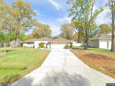 Lake Joyce, LAND O LAKES, FL 34639