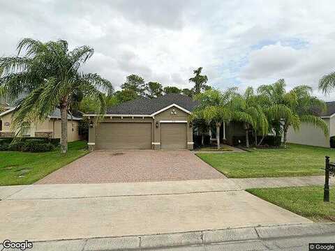 Safflower, OVIEDO, FL 32766