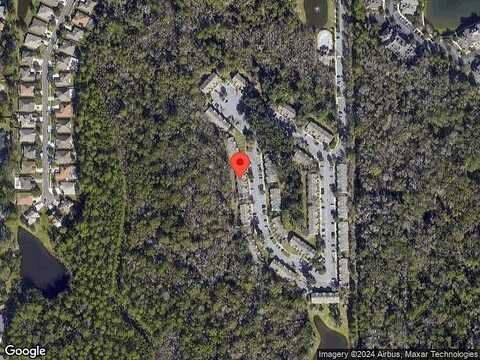 Twisted Tree, JACKSONVILLE, FL 32216