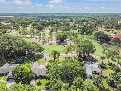 Hilary, PALM HARBOR, FL 34684