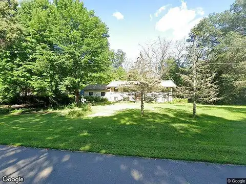 Linnet, BETHEL, MN 55005