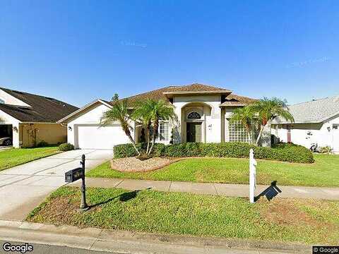 Avocet, LUTZ, FL 33558