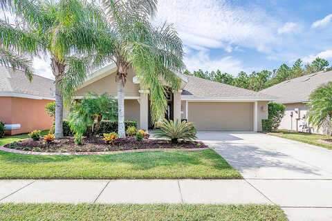Weeping Elm, PORT ORANGE, FL 32128