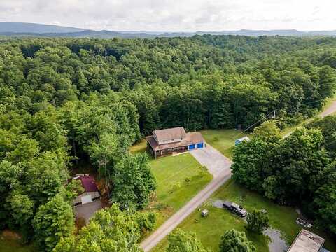 Chinquapin, BLAND, VA 24315
