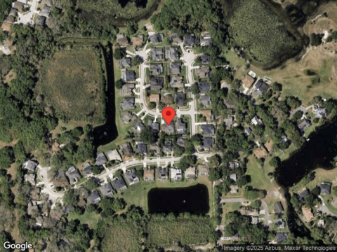 Crocus, LONGWOOD, FL 32750