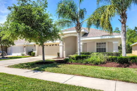Areca Palm, PORT ORANGE, FL 32128