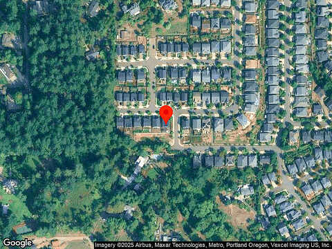 Black Walnut, PORTLAND, OR 97224