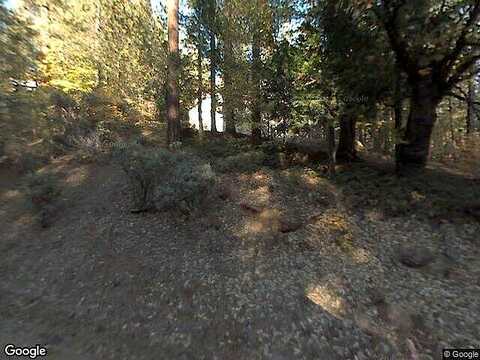 Felix, ARNOLD, CA 95223
