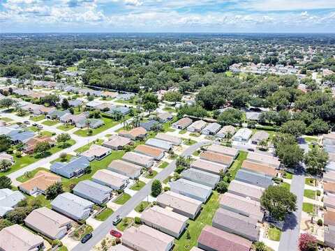 94Th Sunnybrook, THE VILLAGES, FL 32162