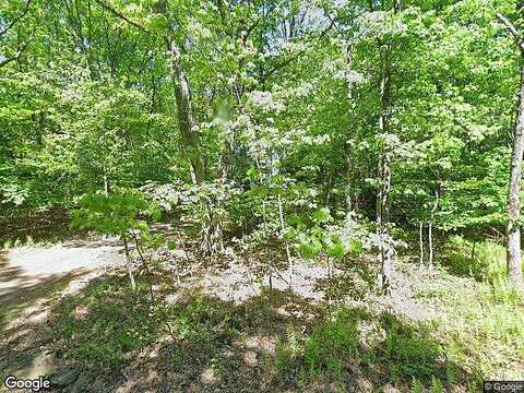 Piney Woods, JIM THORPE, PA 18229
